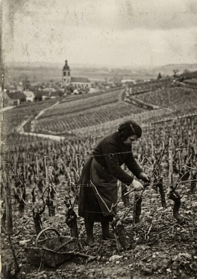Champagne Patrick Boivin - Histoire à Cumières