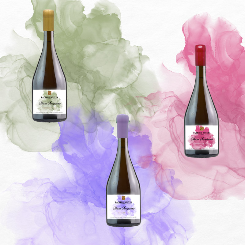 Collection Coteaux Champenois - Champagne Patrick Boivin