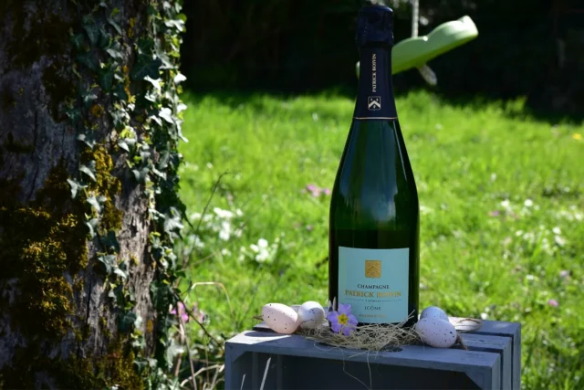 Les cloches sont passées... et les bulles aussi ! 🥂✨

En ce dimanche de Pâques, nous vous souhaitons une journée pleine de douceurs, de rires et de moments pétillants en famille ou entre amis. 🌸🍾

#ChampagnePatrickBoivin #Pâques #CuvéeIcône #ArtDeVivre #MomentsDePartage #JoieEtBulles