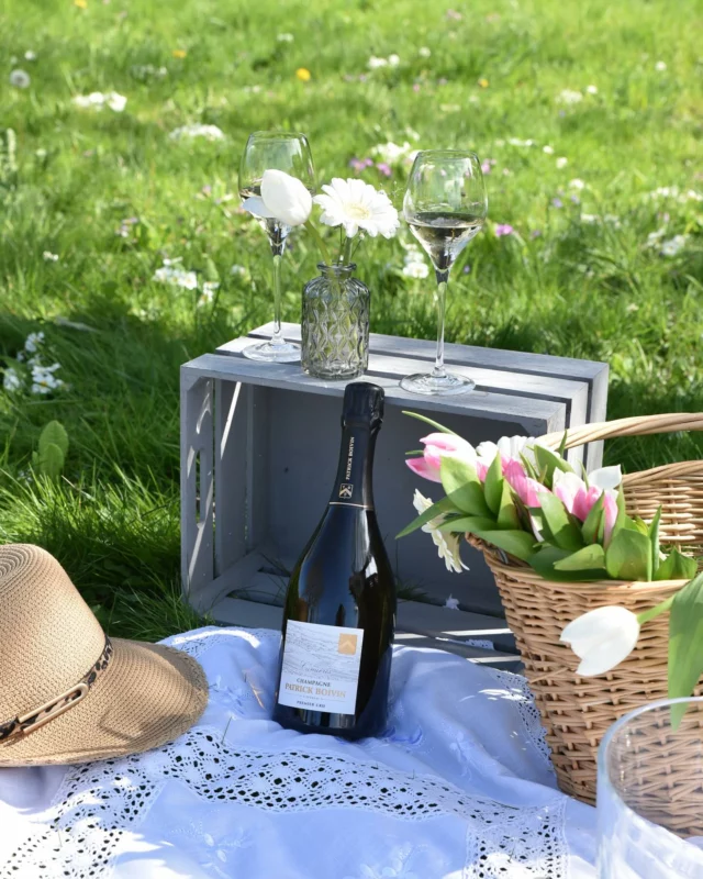 Un 8 mai au goût de liberté et d’élégance.

C’est l’occasion parfaite pour s’offrir un moment hors du temps, un instant de douceur partagé.

Notre cuvée Cumières 100% Chardonnay, issue exclusivement du terroir de Cumières 1er Cru, révèle toute la finesse et la fraîcheur du cépage.

À savourer à l’ombre d’un arbre, au cœur d’un pique-nique fleuri ou simplement entre amis.

#ChampagnePatrickBoivin #Cumières #Chardonnay #8Mai #PremierCru #PiqueNique #epernay#pierry#champagne#champagnelover #cumières #chardonnay